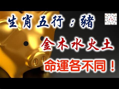 豬的五行|【屬豬五行屬什麼】快看！解密屬豬五行屬性，掌握你的運勢密碼。